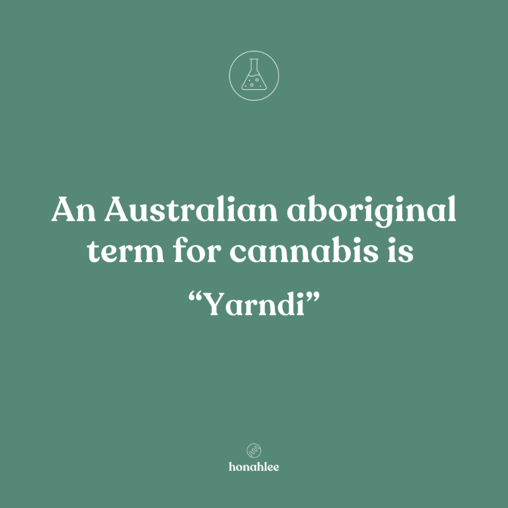australian aboriginal term for cannabis is yarndi
