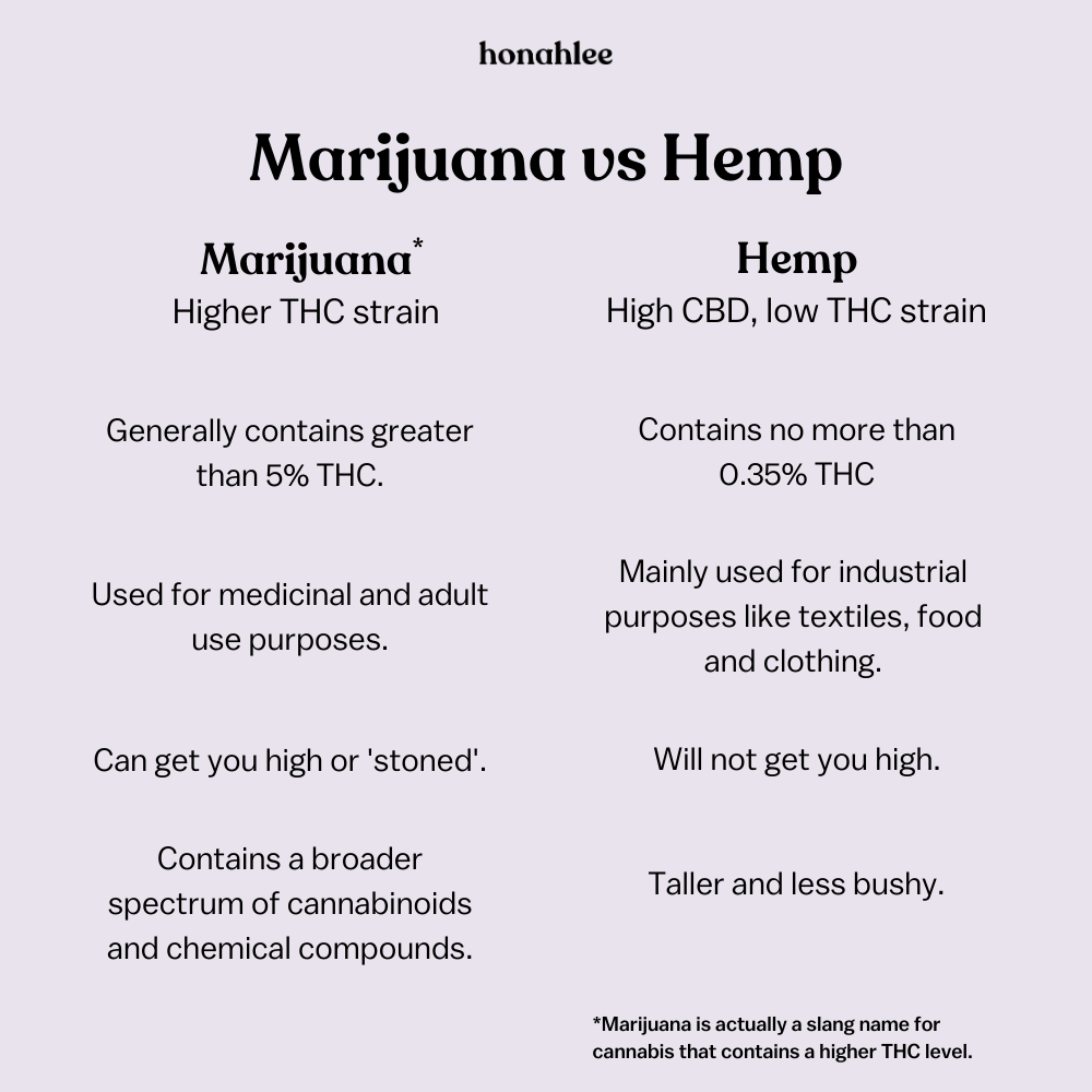 Differences between marijuana and hemp