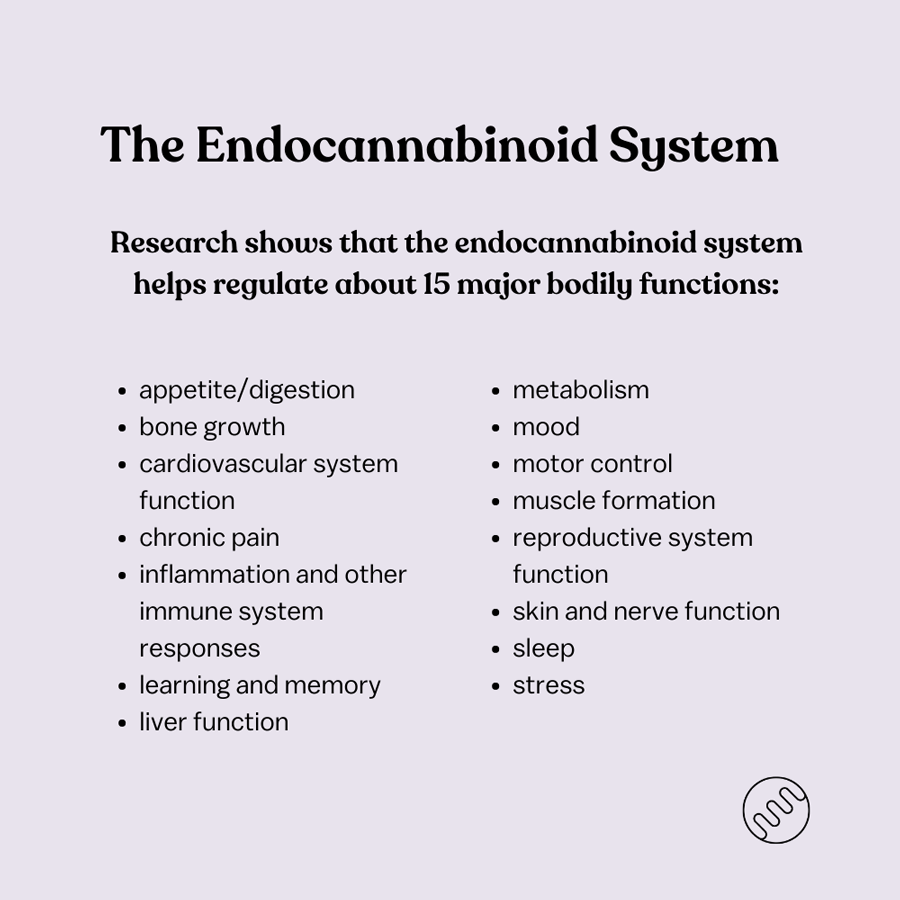 ECS helps regulate about 15 bodily functions