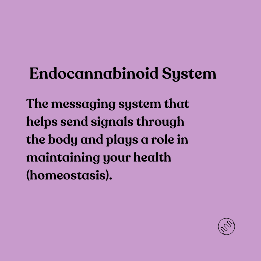 the endocannabinoid system help keep homeostasis