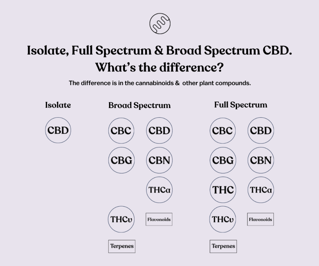 CBD Isolate v Full Spectrum CBD v Broad Spectrum CBD
