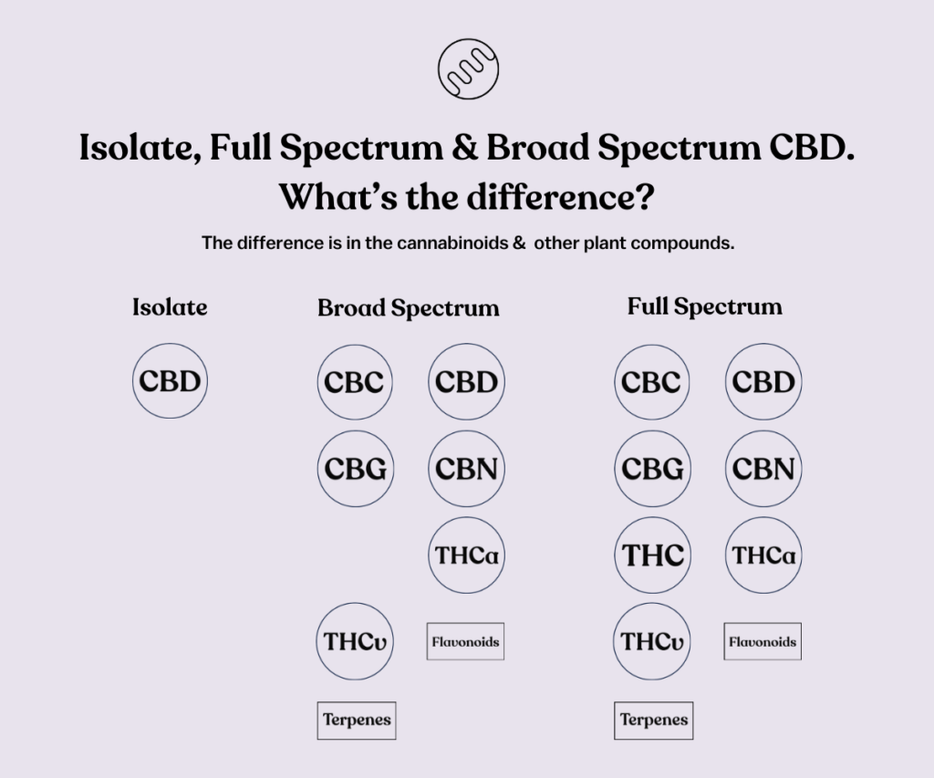 What Is Full-Spectrum THC & How Does It Work?