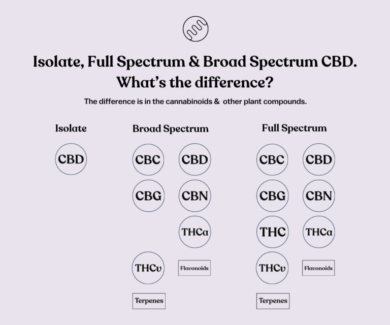 CBD Oil Explained: Full Spectrum Vs Broad Spectrum Vs Isolate | Honahlee