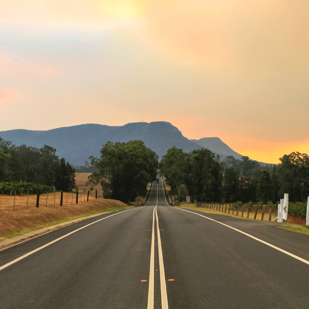 Vehicle Crashes, Cannabis & Alcohol