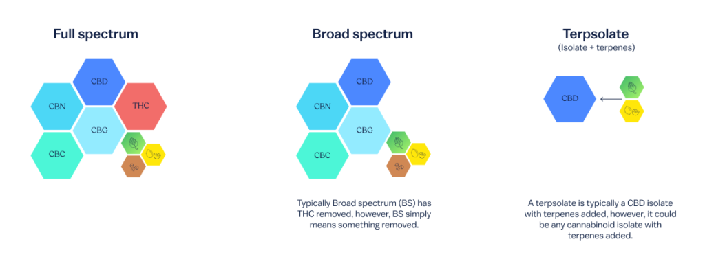 terpene and cannabis product relationship