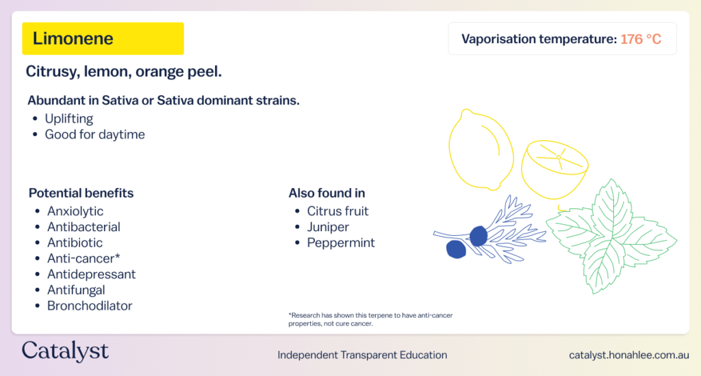 properties of limonene terpene effects catalyst cannabis education