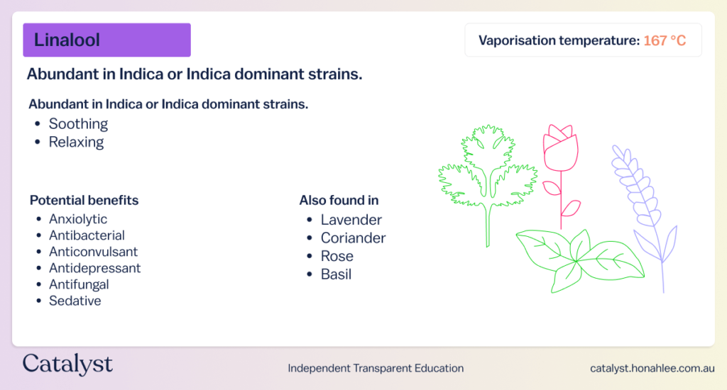 properties of linalool terpene effects catalyst cannabis education