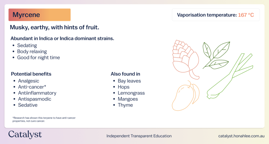 properties of myrcene terpene effects catalyst cannabis education