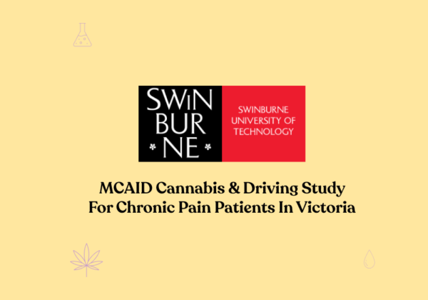 mcaid cannabis and driving study swinburne vic feature