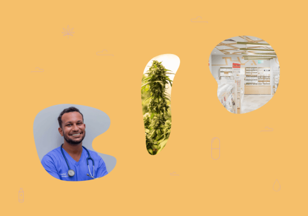 understanding medicinal cannabis open scripts feature image. A collage of a doctor in blue smiling facing a cannabis plant with a pharmacy beside them.